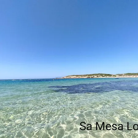 Alabe Marina Di