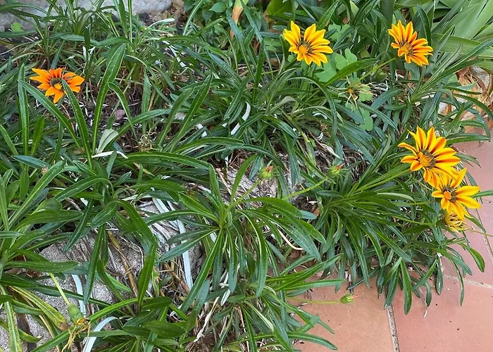 Alabe Marina Di Tresnuraghes 2* Porto Alabe